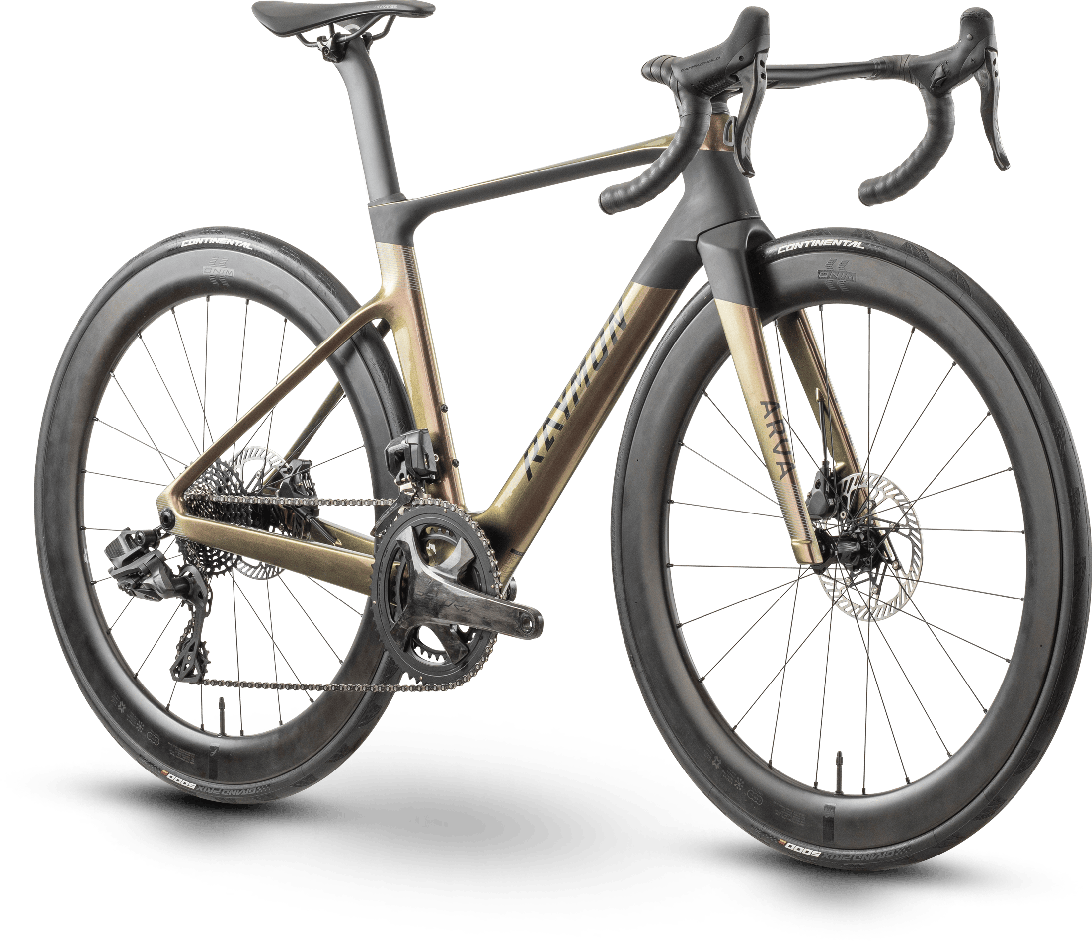 Raymon Arva Elite – vista 2