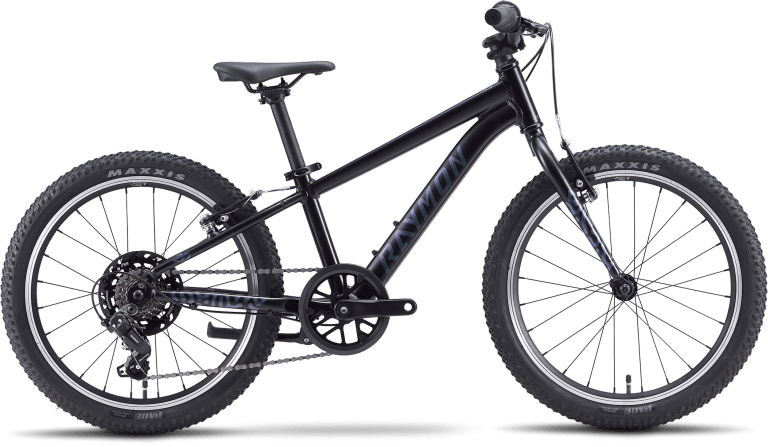Raymon Yanga 20 Pure