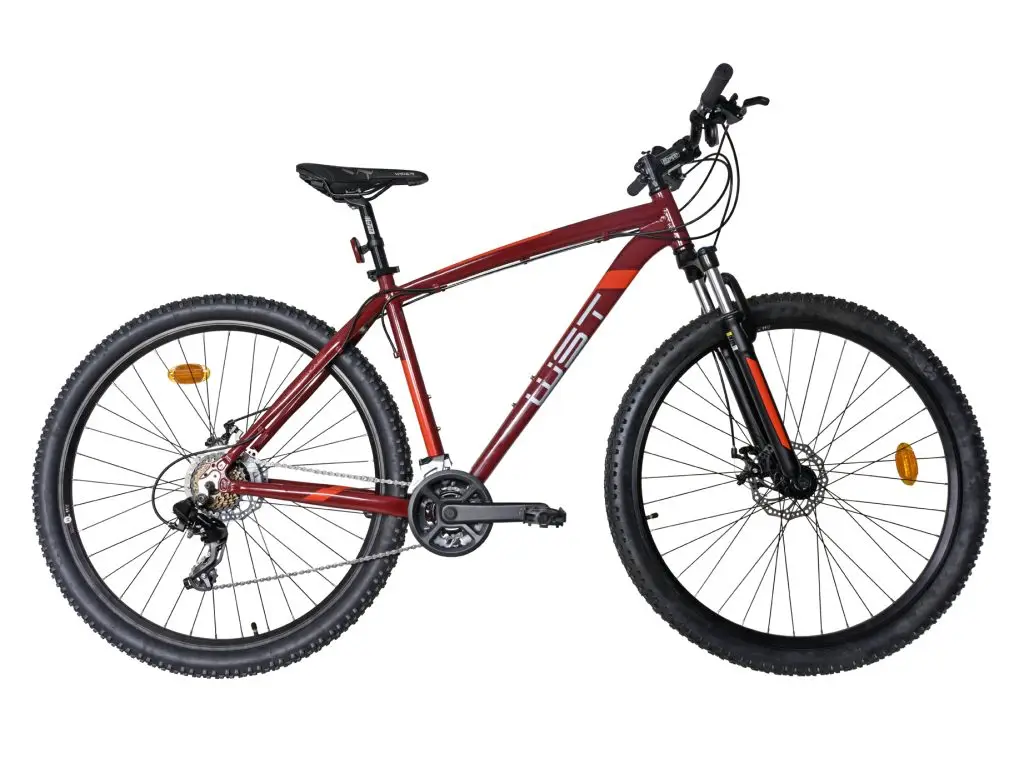 WST Cosmo 29" DM