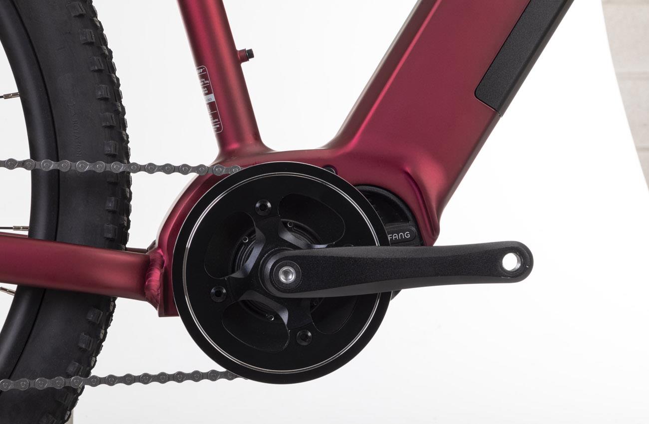 Conor Kirk 29″ e-MTB – vista 4