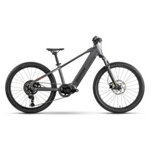 Raymon Zorq Pure 24"