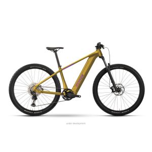 Raymon Zorq Pure